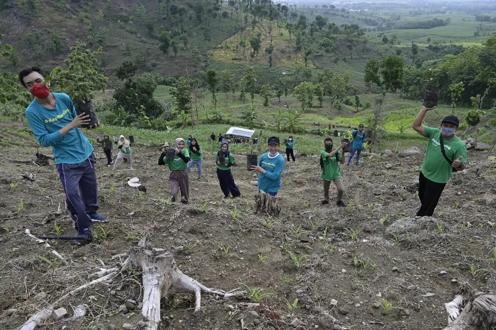 Ready Darling Planting 5,225 Tree Seeds in Patiayam