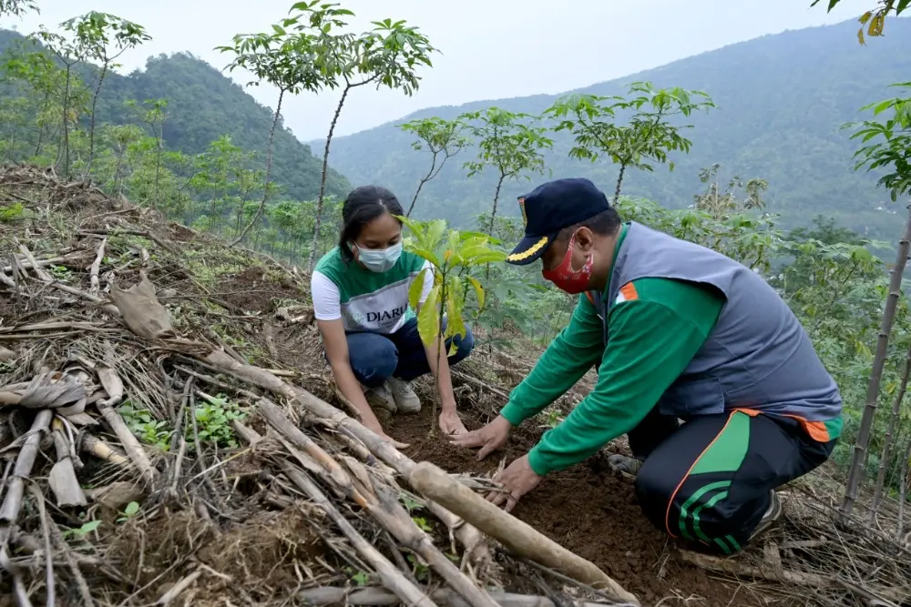 Day of Planting Indonesian Trees (HMPI) 2020 Continue Conservation of the Slope Muria, Djarum Foundation Helps Farmers Planting 67 Thousand Trees