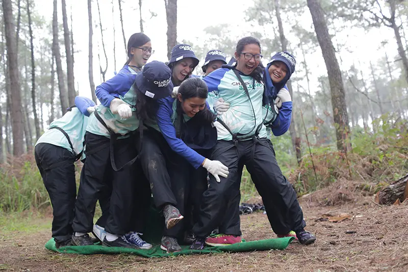 Folding Carpet: Compactness in Simplicity