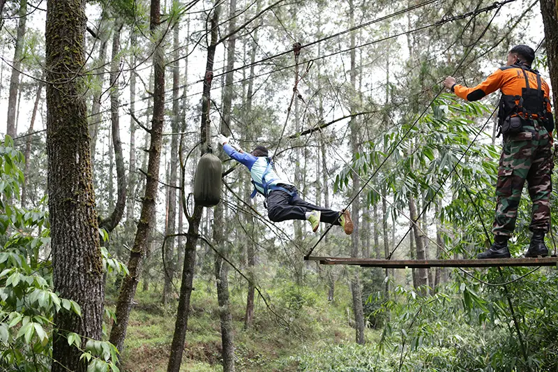 Jump Without Doubt in Human Jump